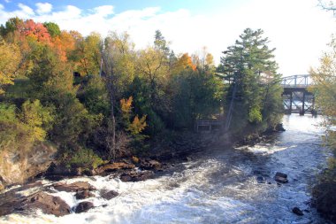 Renkli ağaçlar ve nehirlerle sonbahar manzarası