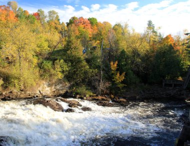 Renkli ağaçlar ve şelale ile sonbahar manzarası