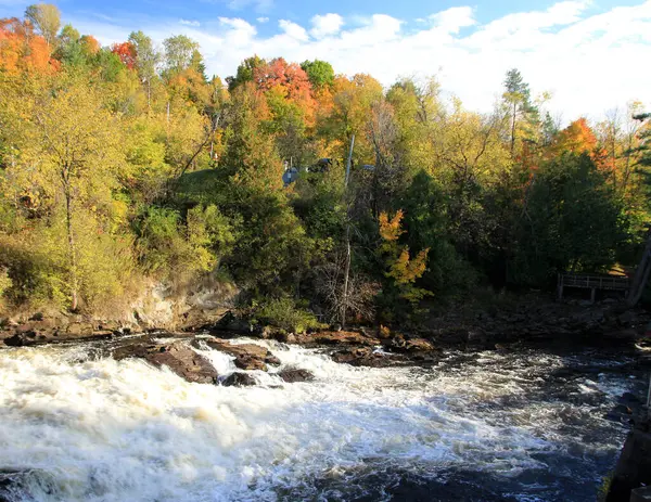 Renkli ağaçlar ve şelale ile sonbahar manzarası