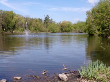 Havuzda çeşme olan yaz manzarası