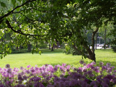 Yaz parkının manzarası