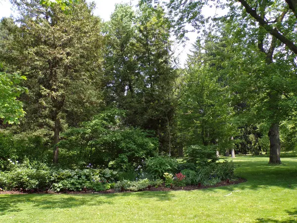 Yaz parkının manzarası