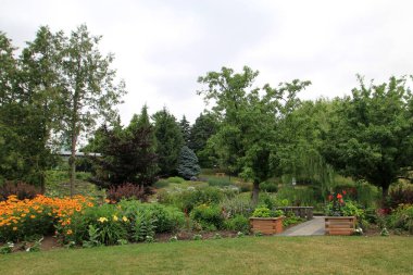 Parkta ağaçların ve çiçeklerin olduğu yaz manzarası