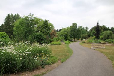 Parkta ağaçların ve çiçeklerin olduğu yaz manzarası