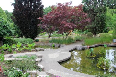 Ağaçlı ve göletli yaz manzarası