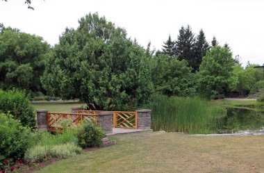 Ağaçlarla ve derenin üzerindeki köprüyle yaz manzarası