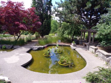 Parkın yaz manzarası Ağaçlar ve gölet