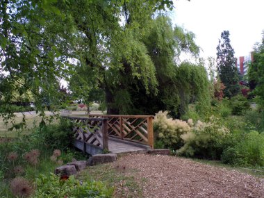 Ağaçlar ve köprüyle parkın yaz manzarası