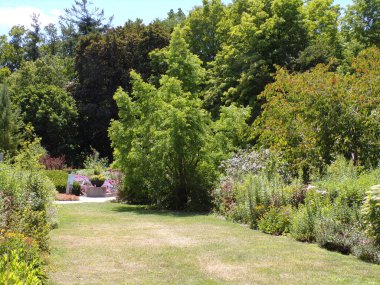 Çiçekli yataklarla dolu yaz manzarası