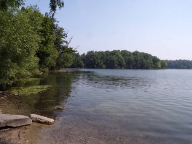 Göl ve ağaçlarla dolu yaz manzarası