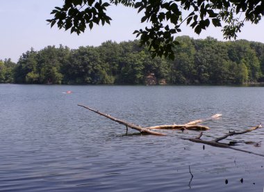 Göl ve ağaçlarla dolu yaz manzarası