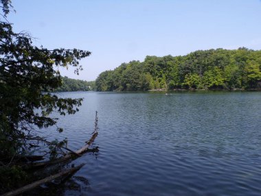 Göl ve ağaçlarla dolu yaz manzarası