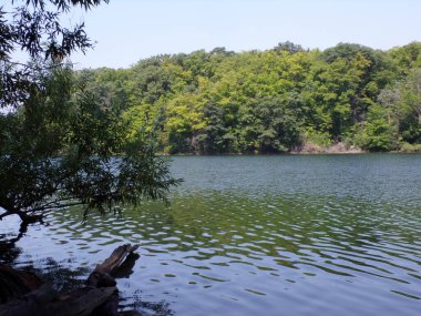Göl ve ağaçlarla dolu yaz manzarası