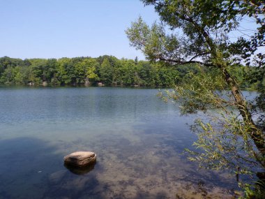 Göl ve ağaçlarla dolu yaz manzarası