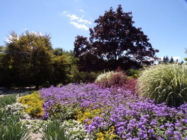 Yaz parkı manzarası Ağaçlar ve çiçek yataklarıyla