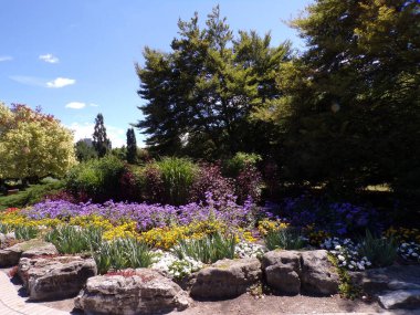 Yaz parkı manzarası Ağaçlar ve çiçek yataklarıyla