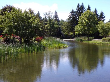 Yaz parkı, ağaçlar ve göletlerle dolu.