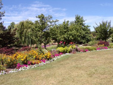 Yaz parkı manzarası Ağaçlar ve çiçek yataklarıyla