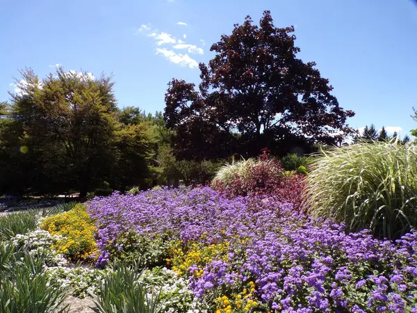 Yaz parkı manzarası Ağaçlar ve çiçek yataklarıyla