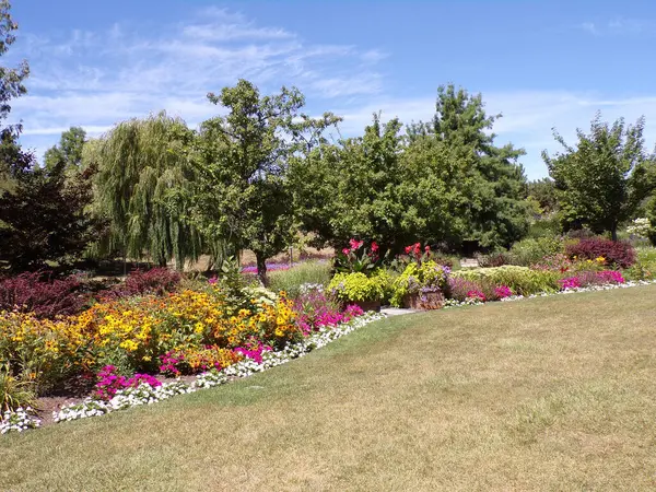 Yaz parkı manzarası Ağaçlar ve çiçek yataklarıyla