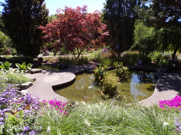 Yaz parkı, ağaçlar ve göletlerle dolu.