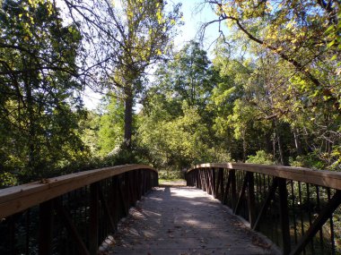 Fall landscape with bridge in forest