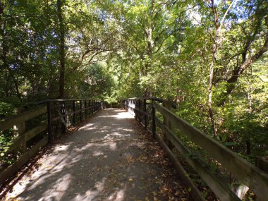 Fall landscape with bridge in forest
