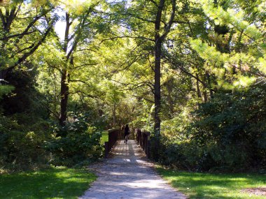 Fall landscape with bridge in forest