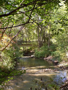 Summer landscape with bridge over rive