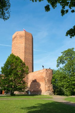 Kruszwica Kalesi ve Fare Kulesi girişi, ortaçağ duvarlarının Polonya 'nın kalbinde efsanelerle buluştuğu, tarih ve mimarinin resimli bir birlikteliğini resmediyor..