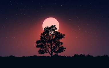 Dolunaya karşı ağaç silueti