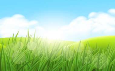 Güneş doğarken otlak vektör arkaplanı