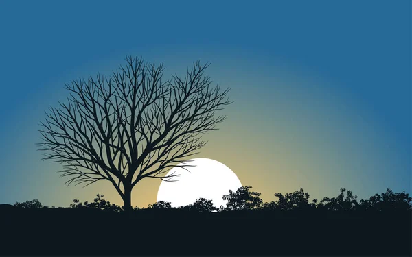 Ilustração Vetorial Uma Árvore Belo Dia Noite — Vetor de Stock