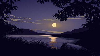 Ay ışığı, ağaç dalları ve çimenlerin silueti olan bir nehirde sakin bir gece.