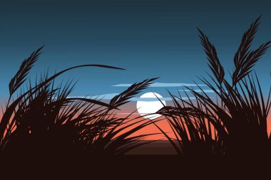 Tarlada güzel bir gün batımı