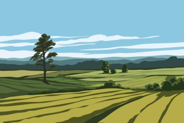 yeşil alan ile peyzaj