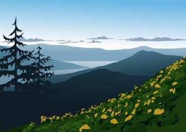 Yeşil ağaçları ve çalıları olan dağ ormanları