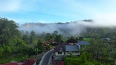 Bukittinggi 'deki Ngarai Sianok Kanyonu' ndan güzel bir manzara, Ngarai Sianok Kanyonu 'nun hava aracı görüntüsü. Bukittinggi, Endonezya, 17 Mart 2023