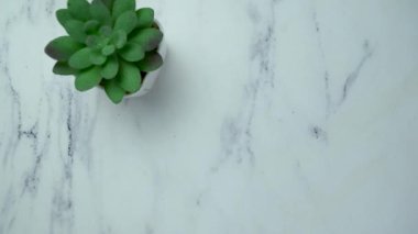 Erkeğin Aşka Saplanması Sözcük Yapışkanlığı 