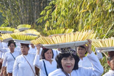 Cigugur Köyü, geleneksel törendeki hizmetçiler. Cigugur Köyü, geleneksel seren taun törenindeki hizmetçiler. Kuningan, Batı Java, Endonezya, 19 Temmuz 2023