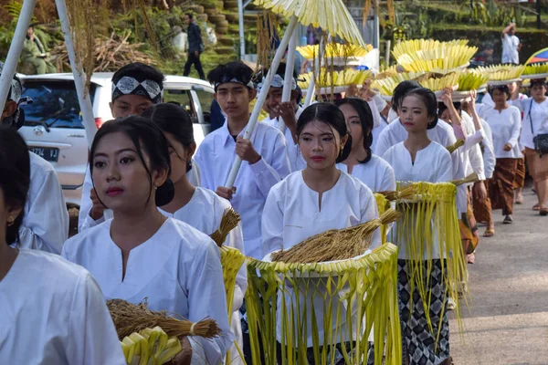 Cigugur Köyü, geleneksel törendeki hizmetçiler. Cigugur Köyü, geleneksel seren taun törenindeki hizmetçiler. Kuningan, Batı Java, Endonezya, 19 Temmuz 2023
