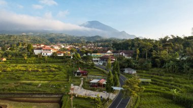 Pirinç tarlalarının ve Ciremai Dağı 'nın manzarasıyla günün tadını çıkarın. Kuningan, Batı Java, Endonezya, 20 Temmuz 2023