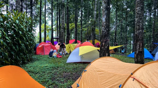 帐篷营区 清早全景景观 有大树和绿草的自然区域 印度尼西亚爪哇中部Wonosobo 2023年7月20日 — 图库照片