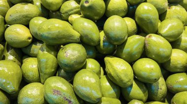 Arkaplan olarak bir araya getirilmiş tüm olgun kahverengi avokadoların üst görünümü