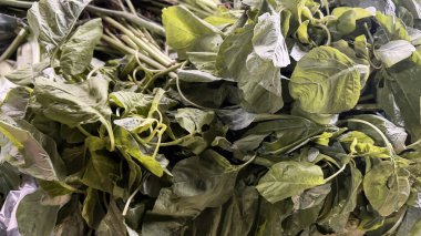 Geleneksel sebze tezgahında çiğ organik taze ıspanak yakın çekim