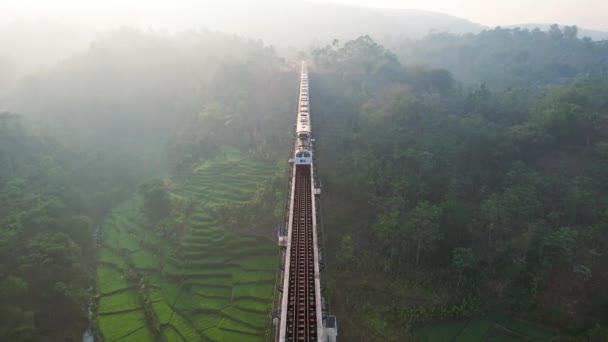 Γραφική Άποψη Επιβατικού Τρένου Που Διέρχεται Από Γέφυρα Cikubang Μεγαλύτερη — Αρχείο Βίντεο