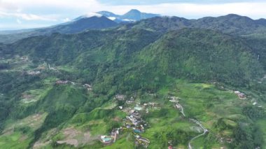 Arkasında karaçam ağaçları ve dağ sıraları olan kayalık bir dağ çayırının Panorama manzarası. Bekasi, 17 Mart 2024