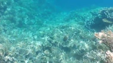 Gün batımında Banda Neira körfezindeki ahşap bir teknenin hava takibi. Maluku, Endonezya, 19 Nisan 2024