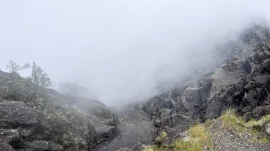 Rinjani 'deki sisli dağ yolu.