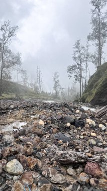 Orman manzarasında nehir şelalesi